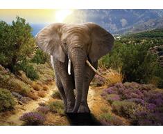 AG Design Elefant, Vlies Fototapete 1 Teil, Mehrfarbig 0,1 x 160 x 110 cm