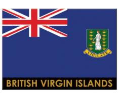 Britische Flagge Jungferninseln Tortola Caribbean Kühlschrank Collectors Souvenir Mag...