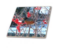 3dRose CT 16889 _ 4 Robin in The Mountain Ash Tree 2 Keramik Fliesen, 30,5 cm