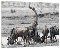 Pixxprint HBVs_4831_80x60 kleine Herde von Büffeln MDF-Holzbild im Bretterlook Wanddekoration, bunt, 80 x 60 x 2 cm