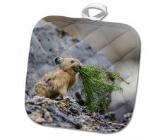 3dRose Topflappen, weiß, 20,3 x 20,3 cm