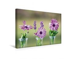 Premium Textil-Leinwand 45 x 30 cm Quer-Format Blumenfreuden | Wandbild, HD-Bild auf Keilrahmen, Fertigbild auf hochwertigem Vlies, Leinwanddruck von Avianaarts Design Fotografie by Tanja Riedel