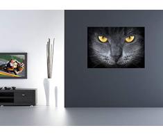 AG Design FTM 0500 Katzenaugen, Papier Fototapete - 160x115 cm - 1 Teil, Papier, multicolor, 0,1 x 160 x 115 cm