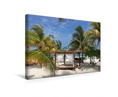 Premium Textil-Leinwand 45 x 30 cm Quer-Format Strandliege unter Palmen | Wandbild, HD-Bild auf Keilrahmen, Fertigbild auf hochwertigem Vlies, Leinwanddruck von Frank Hornecker