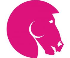 INDIGOS 4051095055341 Wandtattoo w615 Pferd Wandaufkleber in 3 GrÃ¶Ãen, 120 x 66 cm, rosa