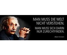 Schatzmix Spruch Man muss die Welt Nicht verstehen. Man muss Sich Darin nur zurechtfinden. -Einstein-Metallschild 27x10 cm Wanddeko tin Sign Blechschild, Blech, Mehrfarbig