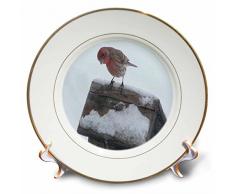 3dRose CP 12342 _ 1 Finch Auf Vogelhaus Porzellan Teller, 20,3 cm