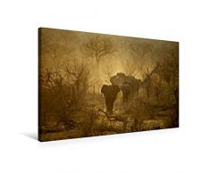 Premium Textil-Leinwand 75 x 50 cm Quer-Format Zauberhaftes Namibia - Natur und Landschaft | Wandbild, HD-Bild auf Keilrahmen, Fertigbild auf hochwertigem Vlies, Leinwanddruck von Günter Franz Müller Fotografie