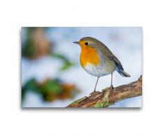Premium Textil-Leinwand 75 x 50 cm Quer-Format Rotkehlchen | Wandbild, HD-Bild auf Keilrahmen, Fertigbild auf hochwertigem Vlies, Leinwanddruck von Em-Jott Fotografie