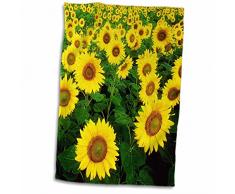 3dRose Sunflower Field. Yellow Flowers. Popular Image Handtücher, 15 x 22