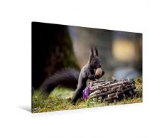 Calvendo Premium Textil-Leinwand 120 cm x 80 cm Quer, Hurra, Ich Hab Mein Osternest Gefunden. | Wandbild, Bild auf Keilrahmen, Fertigbild auf Echter Leinwand, Leinwanddruck Tiere Tiere