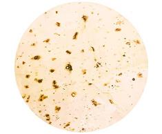 Mgput Burrito Tortilla-Decke, neuartige weiche Flanelldecke für Erwachsene, kreative, realistische Riesen-Burrito-Decke für Bett, Couch oder Reisen. Diameter 60 inches Gelb 2