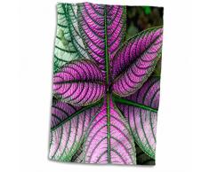 3dRose Persian Shield Plant-Strobilanthes Dyerianus-Costa Rica Handtücher, Mehrfarbig, 15 x 22