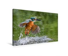 Premium Textil-Leinwand 90 x 60 cm Quer-Format Aus dem Wasser auftauchender Eisvogel | Wandbild, HD-Bild auf Keilrahmen, Fertigbild auf hochwertigem Vlies, Leinwanddruck von Wilfried Martin