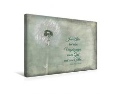 Calvendo Premium Textil-Leinwand 45 cm x 30 cm quer, Jedes Alter hat Seine Reize | Wandbild, Bild auf Keilrahmen, Fertigbild auf echter Leinwand, Leinwanddruck: Fotografie und Zitat Wissen Wissen