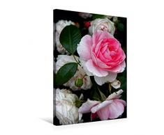 Premium Textil-Leinwand 50 x 75 cm Hoch-Format Wunderschöne Rosen im Garten | Wandbild, HD-Bild auf Keilrahmen, Fertigbild auf hochwertigem Vlies, Leinwanddruck von Martina Cross