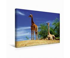 Calvendo Premium Textil-Leinwand 45 cm x 30 cm quer Giraffen | Wandbild, Bild auf Keilrahmen, Fertigbild auf echter Leinwand, Leinwanddruck: Afrika Namibia Natur Natur