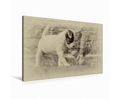 Premium Textil-Leinwand 90 x 60 cm Quer-Format Parson Jack Russell Welpe mit Spielzeug | Wandbild, HD-Bild auf Keilrahmen, Fertigbild auf hochwertigem Vlies, Leinwanddruck von Sonja TeÃen