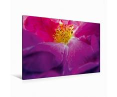 Premium Textil-Leinwand 120 x 80 cm Quer-Format FARBENHARMONIE Botanischer Garten Montreal | Wandbild, HD-Bild auf Keilrahmen, Fertigbild auf hochwertigem Vlies, Leinwanddruck von Philippe Henry