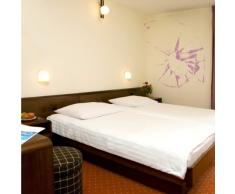 INDIGOS 4052166089937 Wandtattoo W485 Fleck Spinnennetz Wandaufkleber 80 x 64 cm, violett