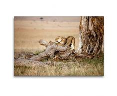 Premium Textil-Leinwand 120 x 80 cm Quer-Format Afrika: Erwachende Löwin | Wandbild, HD-Bild auf Keilrahmen, Fertigbild auf hochwertigem Vlies, Leinwanddruck von Angelika Stern