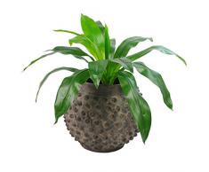 Leaf Kunstpflanze Dracaena, Blätter, 40 cm, Dunkelgrün