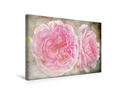 Premium Textil-Leinwand 45 x 30 cm Quer-Format Schwärmerei - Rosen Romantik | Wandbild, HD-Bild auf Keilrahmen, Fertigbild auf hochwertigem Vlies, Leinwanddruck von Martina Cross