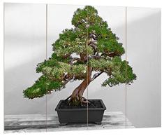 Pixxprint Bonsai Baum auf Holztisch schwarz/weiß, MDF Bretterlook Format: 80x60cm, Wanddekoration Holzbild, Holz, bunt, 80 x 60 x 2 cm