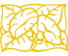 INDIGOS/Wandaufkleber-e185 hübsche Trompetenblume 96x68 cm- Gold, Vinyl, 96 x 68 x 1 cm