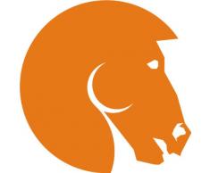 INDIGOS 4051095055297 Wandtattoo w615 Pferd Wandaufkleber in 3 Größen, 120 x 66 cm, orange