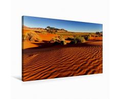 Calvendo Premium Textil-Leinwand 75 cm x 50 cm quer Morgenlicht in der Namib-Wüste in der Sossusvlei | Wandbild, Bild auf Keilrahmen, Fertigbild auf echter in Namibia (Afrika) Orte Orte