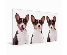 Premium Textil-Leinwand 120 cm x 80 cm quer Ein Motiv aus dem Kalender Allerliebste Basenji Welpen 2017 | Wandbild, Bild auf Keilrahmen, Fertigbild auf echter Leinwand, Leinwanddruck