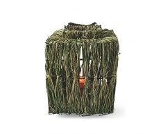 Villa d‘Este Home Tivoli AMZZONIA Rafia Quadratisch, Grün, Laterne p. 29,5 39 cm, Maße Behälter: Ø 10 x H 10 cm