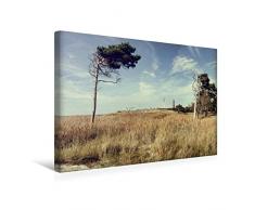 Calvendo Premium Textil-Leinwand 45 cm x 30 cm quer, Prerow Weststrand | Wandbild, Bild auf Keilrahmen, Fertigbild auf echter Leinwand, Leinwanddruck Menschen Menschen