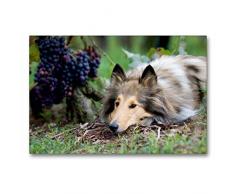 Premium Textil-Leinwand 90 x 60 cm Quer-Format Highland Hawk Fame in den Weinbergen | Wandbild, HD-Bild auf Keilrahmen, Fertigbild auf hochwertigem Vlies, Leinwanddruck von Andreas und Marina Zimmermann Fotografie GbR