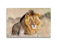 Premium Textil-Leinwand 120 x 80 cm Quer-Format Afrika: Majestätischer Löwe in der Masai Mara | Wandbild, HD-Bild auf Keilrahmen, Fertigbild auf hochwertigem Vlies, Leinwanddruck von Angelika Stern