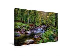 Premium Textil-Leinwand 45 x 30 cm Quer-Format Elendtal bei Schierke | Wandbild, HD-Bild auf Keilrahmen, Fertigbild auf hochwertigem Vlies, Leinwanddruck von Steffen Gierok