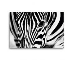 Premium Textil-Leinwand 75 x 50 cm Quer-Format Afrika: Nahaufnahme eines Steppenzebra in Botswana | Wandbild, HD-Bild auf Keilrahmen, Fertigbild auf hochwertigem Vlies, Leinwanddruck von Angelika Stern