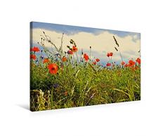 Premium Textil-Leinwand 75 x 50 cm Quer-Format Rosen und Mohnblüten Momente Schweizer Edition | Wandbild, HD-Bild auf Keilrahmen, Fertigbild auf hochwertigem Vlies, Leinwanddruck von Avianaarts Design Fotografie by Tanja Riedel