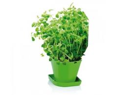 Tescoma 899070 Set für gesunde Kräuter Sense Oregano