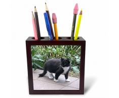 3dRose PH 167524 _ 1 Overhead View Zwei Calla Lilien in Garten, Weiß Farbe, Trumpet-Like Form Tile Stifthalter, 12,7 cm