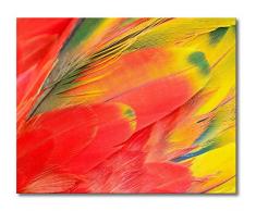 WandbilderXXL® Gedrucktes Leinwandbild Parrot Feathers 100x80cm - in 6 verschiedenen Größen. Fertig gespannt auf Holzkeilrahmen. Günstige Leinwanddrucke für Kinderzimmer Schlafzimmer.