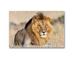 Premium Textil-Leinwand 90 x 60 cm Quer-Format Afrika: Majestätischer Löwe in der Masai Mara | Wandbild, HD-Bild auf Keilrahmen, Fertigbild auf hochwertigem Vlies, Leinwanddruck von Angelika Stern