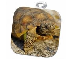 3dRose Topflappen, weiß, 20,3 x 20,3 cm