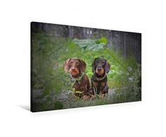 Premium Textil-Leinwand 90 x 60 cm Quer-Format August Schnuffel vom Schwindauer Land, schwarz-rot mit Ida von Kleinhehlen, braun, Rauhaar | Wandbild, HD-Bild auf Keilrahmen, Fertigbild auf hochwertigem Vlies, Leinwanddruck von Anja Foto Grafia Fotografie