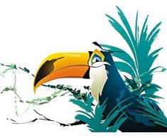 Indigos 4051719960709 Wandtattoo MD424 schöne Vögel hinter dem Busch 96 x 72 cm, bunt farbig