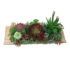 Nickannys Moderne Mini-Kunstpflanze für Sukkulenten Hennen und Küken – Kunstpflanze Home Decor auf Holzbrett für Büro oder Zuhause Red Green Hens Chicks Aloe Long Wooden Stand