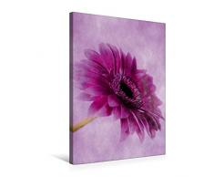 Calvendo Premium Textil-Leinwand 50 cm x 75 cm hoch, Gerbera | Wandbild, Bild auf Keilrahmen, Fertigbild auf echter Leinwand, Leinwanddruck Natur Natur