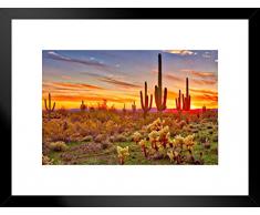 Poster Foundry Colorful Sunset Saguaro Kaktus Sonoran Wüste Foto Art Print Foto Art Print 26x20 inches Matted Framed Poster