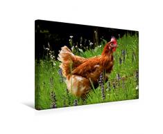 Premium Textil-Leinwand 45 x 30 cm Quer-Format Huhn im Garten | Wandbild, HD-Bild auf Keilrahmen, Fertigbild auf hochwertigem Vlies, Leinwanddruck von N N